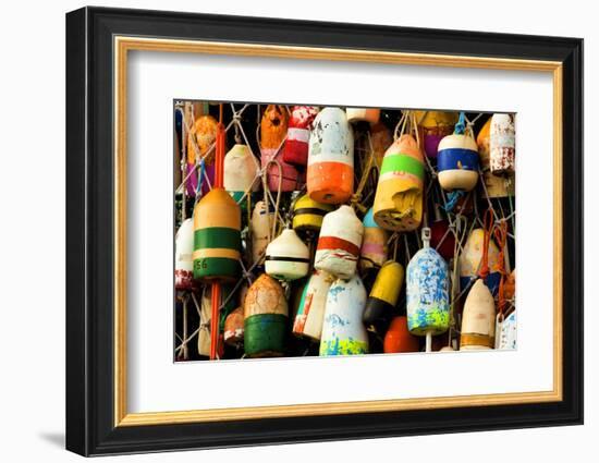 Buoys on a Wall at Apalachicola, Florida, USA-Joanne Wells-Framed Photographic Print