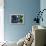 Buoys on an Old Shed at Bernard, Maine, USA-Joanne Wells-Framed Premier Image Canvas displayed on a wall