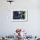 Buoys on an Old Shed at Bernard, Maine, USA-Joanne Wells-Framed Photographic Print displayed on a wall