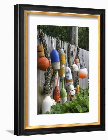 Buoys outside Lucy J's Jewelry and Glass Studio, Eastham, Cape Cod, Massachusetts, USA-Susan Pease-Framed Photographic Print