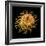 Bur Clover Burr, SEM-Steve Gschmeissner-Framed Premium Photographic Print