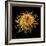 Bur Clover Burr, SEM-Steve Gschmeissner-Framed Premium Photographic Print