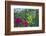bur-marigold, Bidens ferulifolius, petunias, Petunia, blossoms, close-up, window box-David & Micha Sheldon-Framed Photographic Print