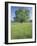 Bur Oak in Grassy Field, Great Smoky Mountains National Park, Tennessee, USA-Adam Jones-Framed Photographic Print