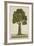 Bur Tree, 1800-10-null-Framed Giclee Print