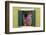 Burano Window I-Nancy Crowell-Framed Photographic Print