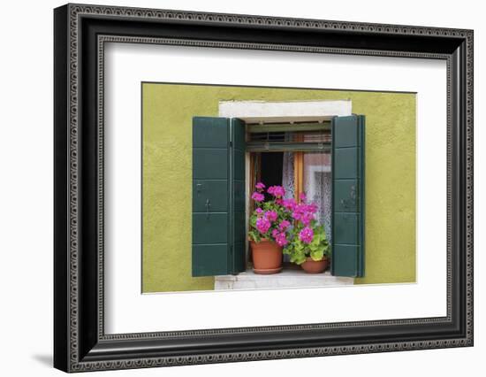 Burano Window I-Nancy Crowell-Framed Photographic Print