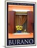 Burano Window, Italy 14-Anna Siena-Mounted Giclee Print