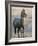 Burchell's Zebra (Equus Burchelli) Covered in Mud, Etosha National Park, Namibia, Africa-Steve & Ann Toon-Framed Photographic Print