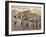 Burchell's Zebra (Equus Burchellii), Etosha National Park, Namibia, Africa-Sergio Pitamitz-Framed Photographic Print