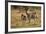 Burchell's Zebra Foal and Mother-Michele Westmorland-Framed Photographic Print