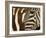 Burchell's Zebra pattern of stripes, Ngorongoro Crater, Tanzania-Adam Jones-Framed Photographic Print