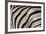 Burchell's Zebra Stripes, Etosha Namibia-Kymri Wilt-Framed Photographic Print