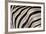 Burchell's Zebra Stripes, Etosha Namibia-Kymri Wilt-Framed Photographic Print