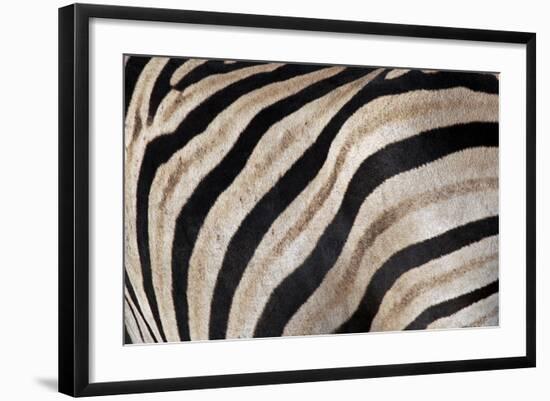 Burchell's Zebra Stripes, Etosha Namibia-Kymri Wilt-Framed Photographic Print