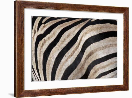 Burchell's Zebra Stripes, Etosha Namibia-Kymri Wilt-Framed Photographic Print