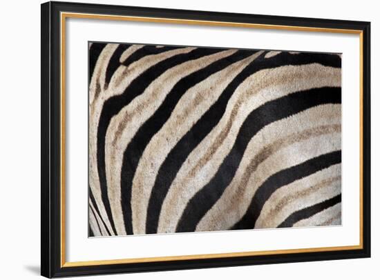 Burchell's Zebra Stripes, Etosha Namibia-Kymri Wilt-Framed Photographic Print