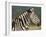 Burchell's Zebra, with Redbilled Oxpeckers, Hluhluwe Umfolozi Park, Kwazulu Natal, South Africa-Toon Ann & Steve-Framed Photographic Print