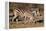 Burchell's Zebra-Howard Ruby-Framed Premier Image Canvas