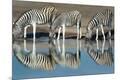 Premium Photographic Print