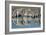 Burchell's Zebras (Equus Quagga Burchellii) Drinking Water, Etosha National Park, Namibia-null-Framed Photographic Print