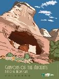 Canyons Of The Ancients National Monument In Colorado-Bureau of Land Management-Framed Art Print