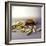 Burger And Chips, Computer Artwork-Christian Darkin-Framed Premium Photographic Print