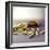 Burger And Chips, Computer Artwork-Christian Darkin-Framed Premium Photographic Print