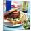 Burger At a Barbeque-David Munns-Mounted Premium Photographic Print