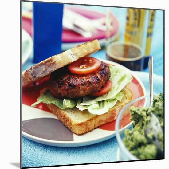 Burger At a Barbeque-David Munns-Mounted Premium Photographic Print