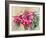 Burgundy Clematis-Mary Smith-Framed Giclee Print