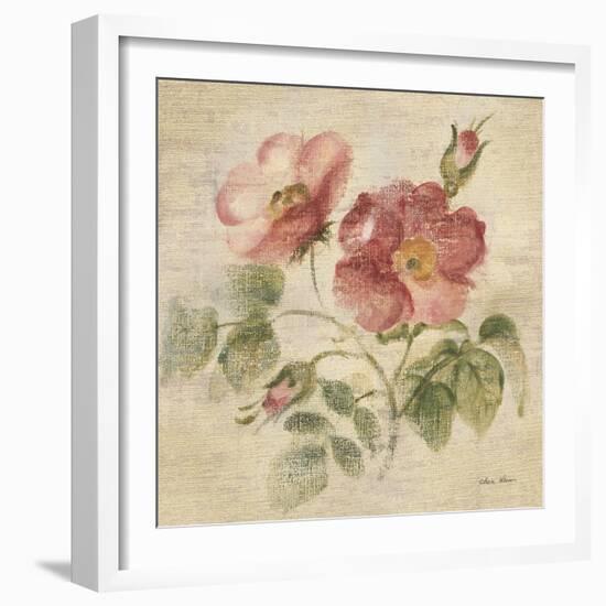 Burgundy Rose on Antique Linen Light-Cheri Blum-Framed Art Print