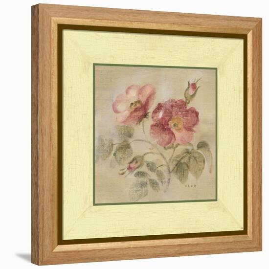 Burgundy Rose-Cheri Blum-Framed Stretched Canvas