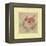 Burgundy Rose-Cheri Blum-Framed Stretched Canvas