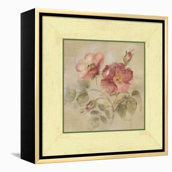 Burgundy Rose-Cheri Blum-Framed Stretched Canvas