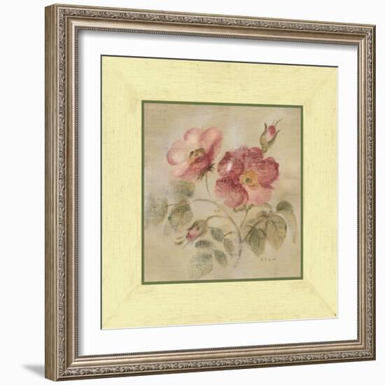 Burgundy Rose-Cheri Blum-Framed Art Print