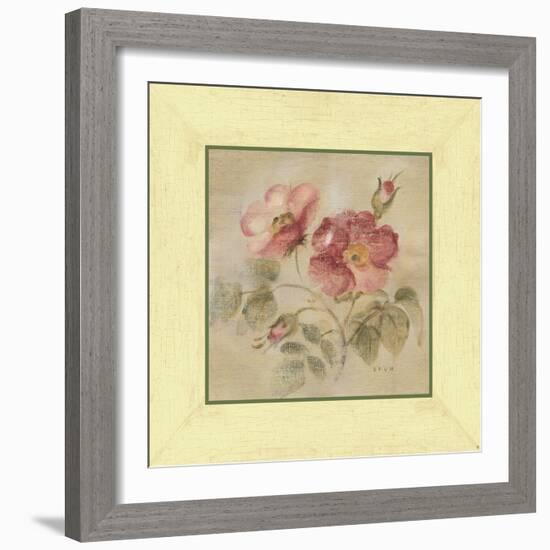 Burgundy Rose-Cheri Blum-Framed Art Print