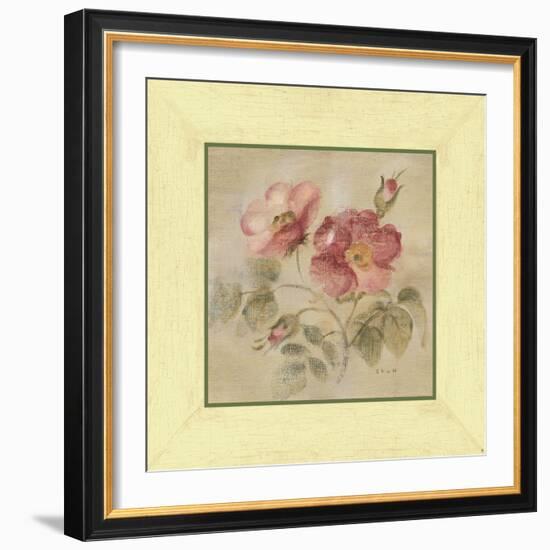 Burgundy Rose-Cheri Blum-Framed Art Print