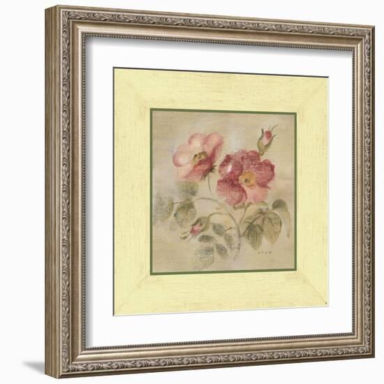 Burgundy Rose-Cheri Blum-Framed Art Print