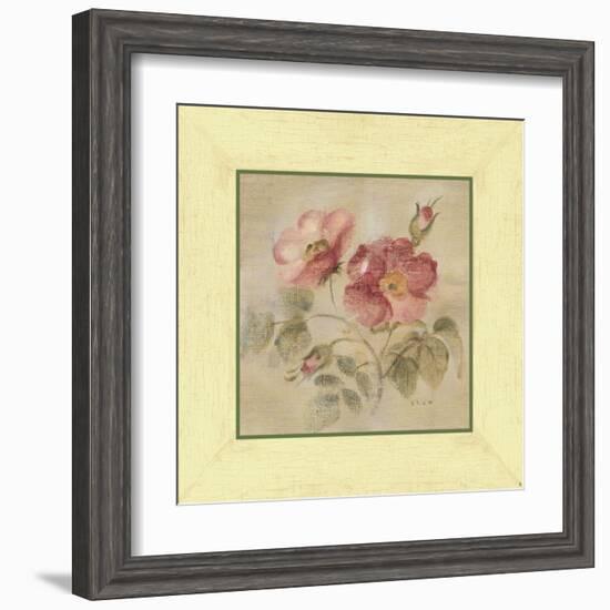 Burgundy Rose-Cheri Blum-Framed Art Print