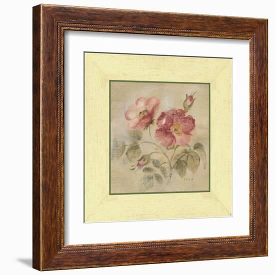 Burgundy Rose-Cheri Blum-Framed Art Print