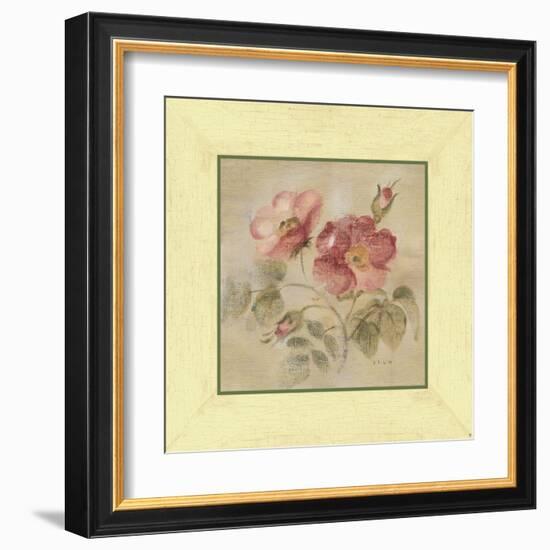 Burgundy Rose-Cheri Blum-Framed Art Print