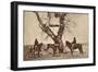 Burial, Dakota, 1868-Alexander Gardner-Framed Giclee Print