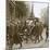 Burial of Edith Cavell, Brussels, Belgium, 1915-Unknown-Mounted Photographic Print