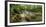 Burio River (Rio Burio), La Fortuna, Arenal, Alajuela Province, Costa Rica, Central America-Matthew Williams-Ellis-Framed Photographic Print