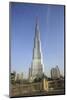 Burj Khalifa, Dubai, United Arab Emirates, Middle East-Amanda Hall-Mounted Photographic Print