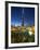 Burj Khalifa (World's Tallest Building), Downtown, Dubai, United Arab Emirates-Jon Arnold-Framed Photographic Print