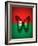 Burkina Faso Flag Butterfly, Isolated On Flag Background-suns_luck-Framed Art Print