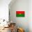 Burkina Faso Flag Design with Wood Patterning - Flags of the World Series-Philippe Hugonnard-Premium Giclee Print displayed on a wall