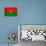 Burkina Faso Flag Design with Wood Patterning - Flags of the World Series-Philippe Hugonnard-Framed Stretched Canvas displayed on a wall